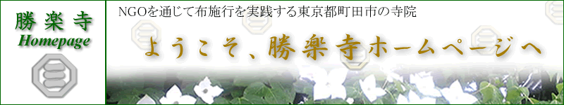 悤yz[y[W